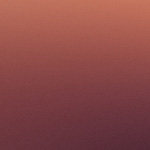 Beers, boards and bitches: for a drink with Cory Scholes