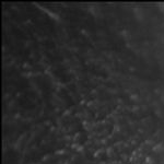 Beers, boards and bitches: for a drink with Cory Scholes