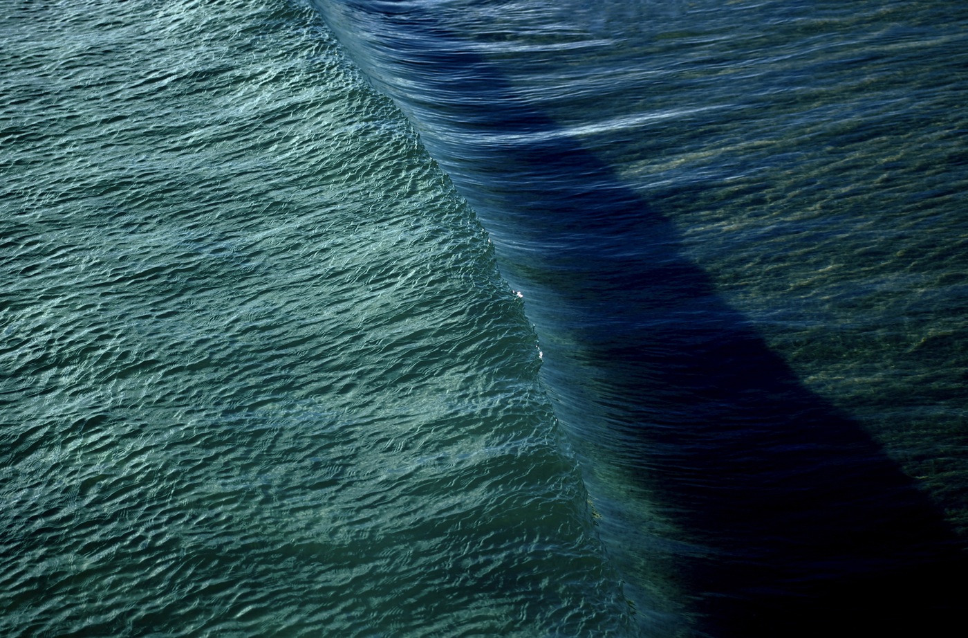 MorganMaassen_9