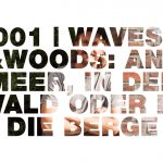 Waves & Woods Magazin – Interview mit Lars Jacobsen